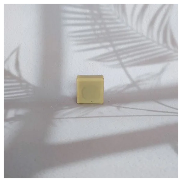 Savonnette Visage Neem