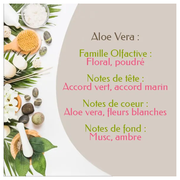 Masque Capillaire Après Shampoing