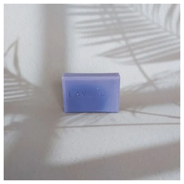 Savon Lait de Chèvre Lavande