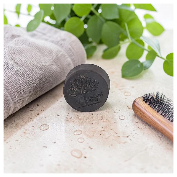 Shampoing Solide Cheveux Gras
