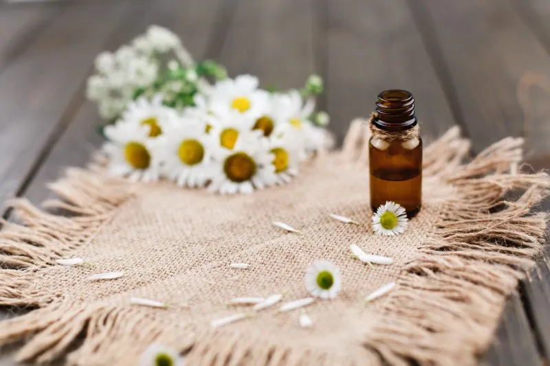 Huiles essentielles utilisées dans les formulations Z2C