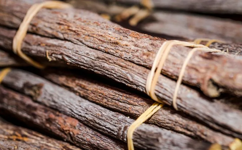 Préparation végétale illustrant l’extraction glycérinée de la réglisse